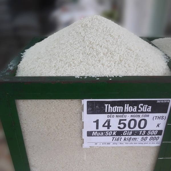 Gạo thơm hoa sữa - Hợp Tác Xã Lương Thực Thái Hùng
